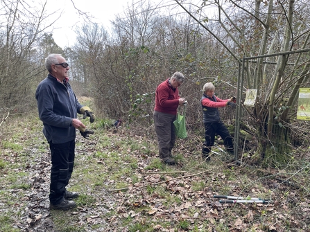 Volunteers remove fencing in a woodland