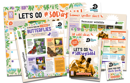 30 Days Wild pack with wallchart and butterfly poster