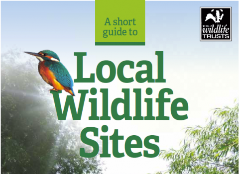A Short Guide to Local Wildlife Sites