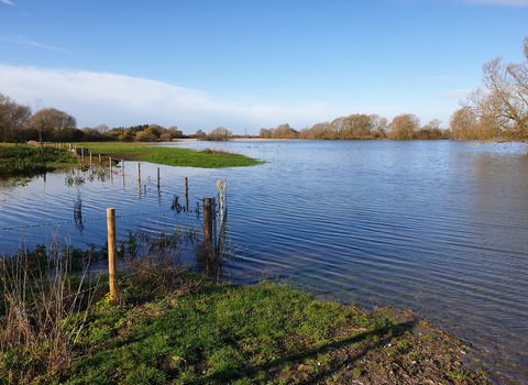 Flooded meadows at Duxford, Oxfordshire 2019