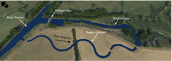 Sketch of the proposed bypass channel around Shifford Weir