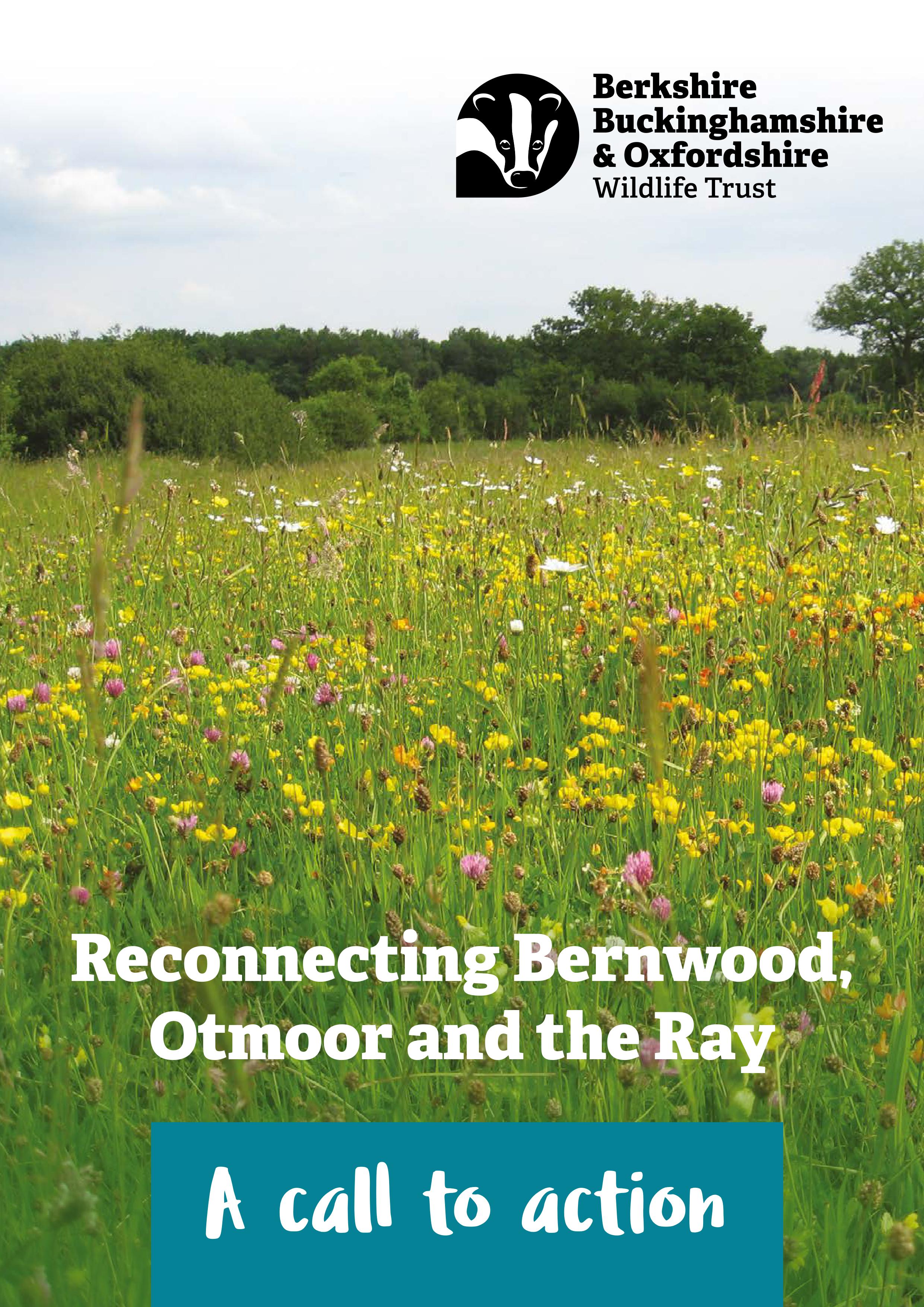 Reconnecting Bernwood, Otmoor and the Ray: Call to Action Report