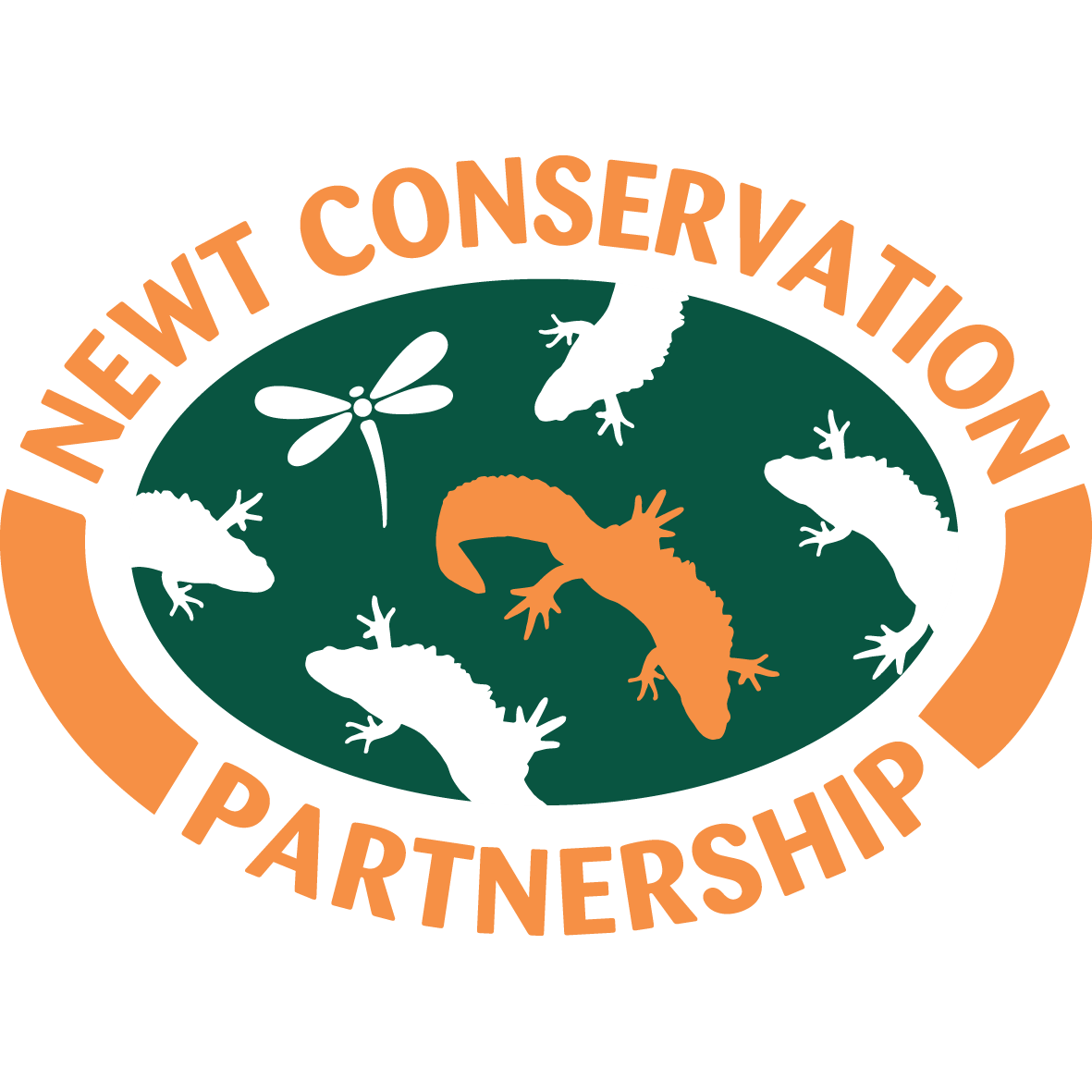 Newt Conservation Partnership