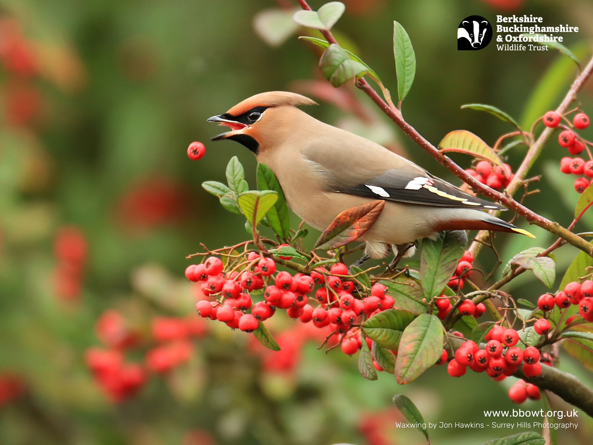 December wallpaper 1280 by 768