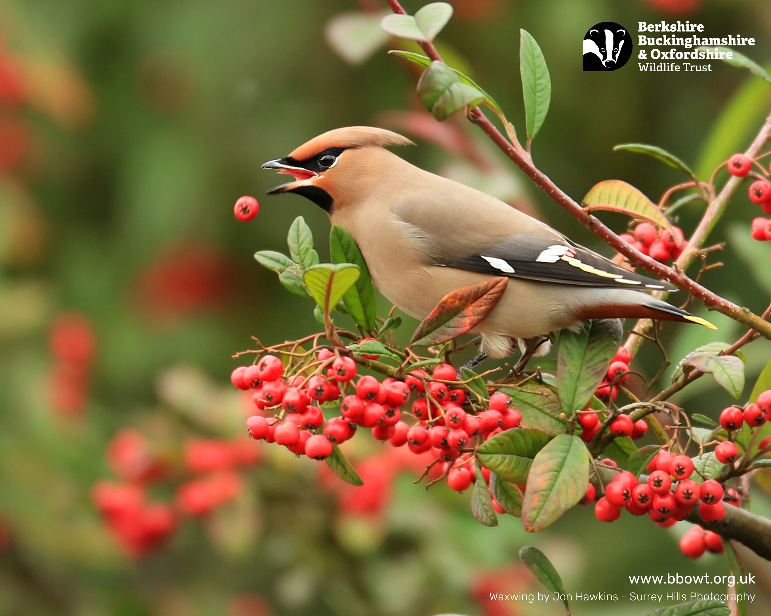 December wallpaper 1280 by 1024