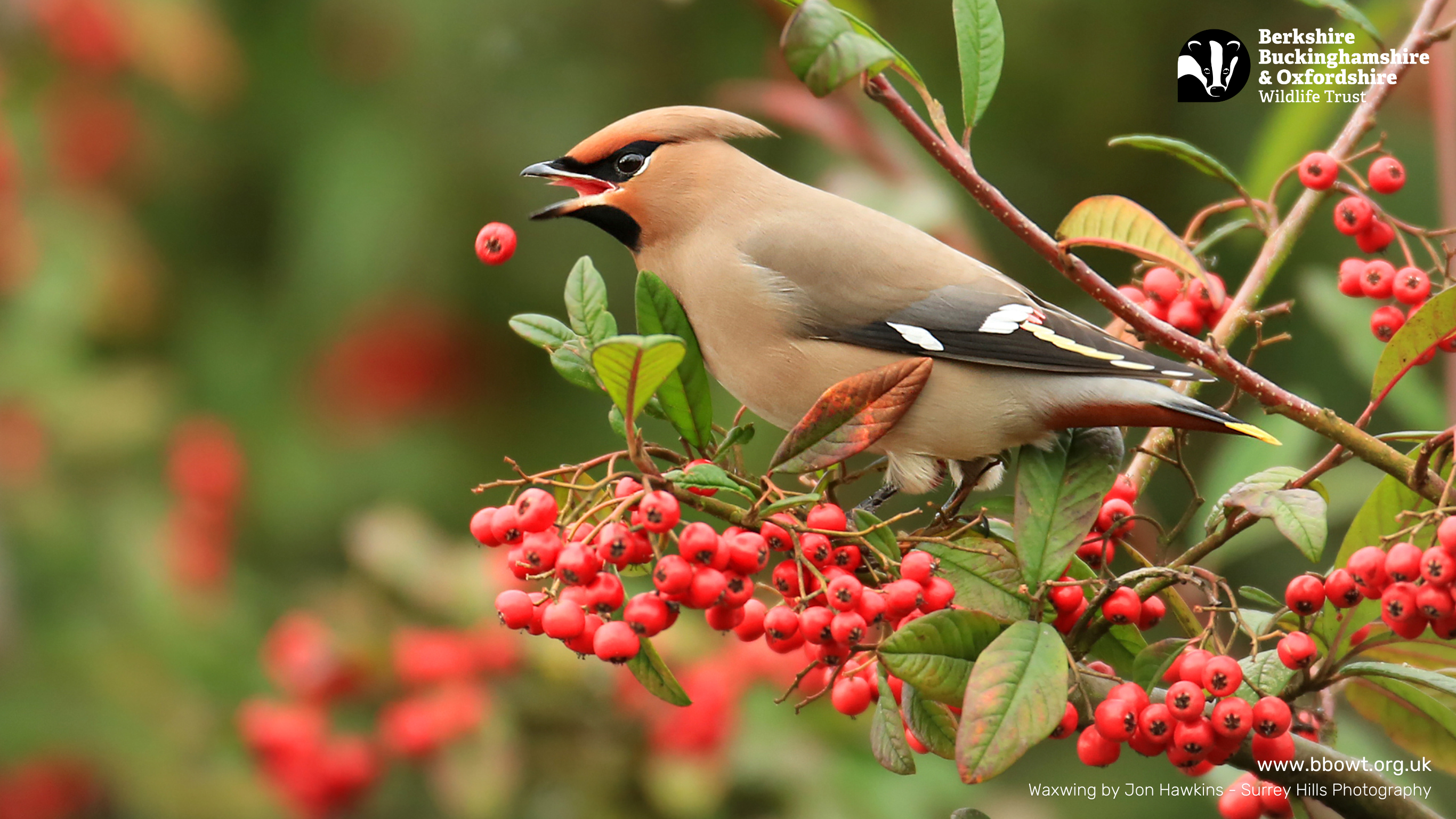 December wallpaper 1366 by 768