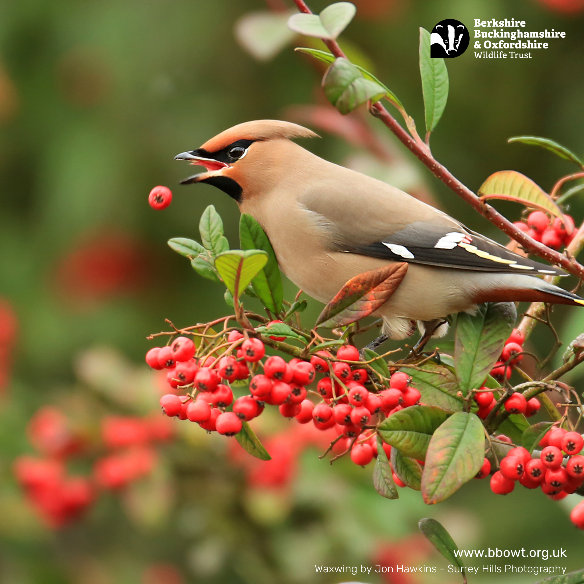 December wallpaper 1024 by 1024