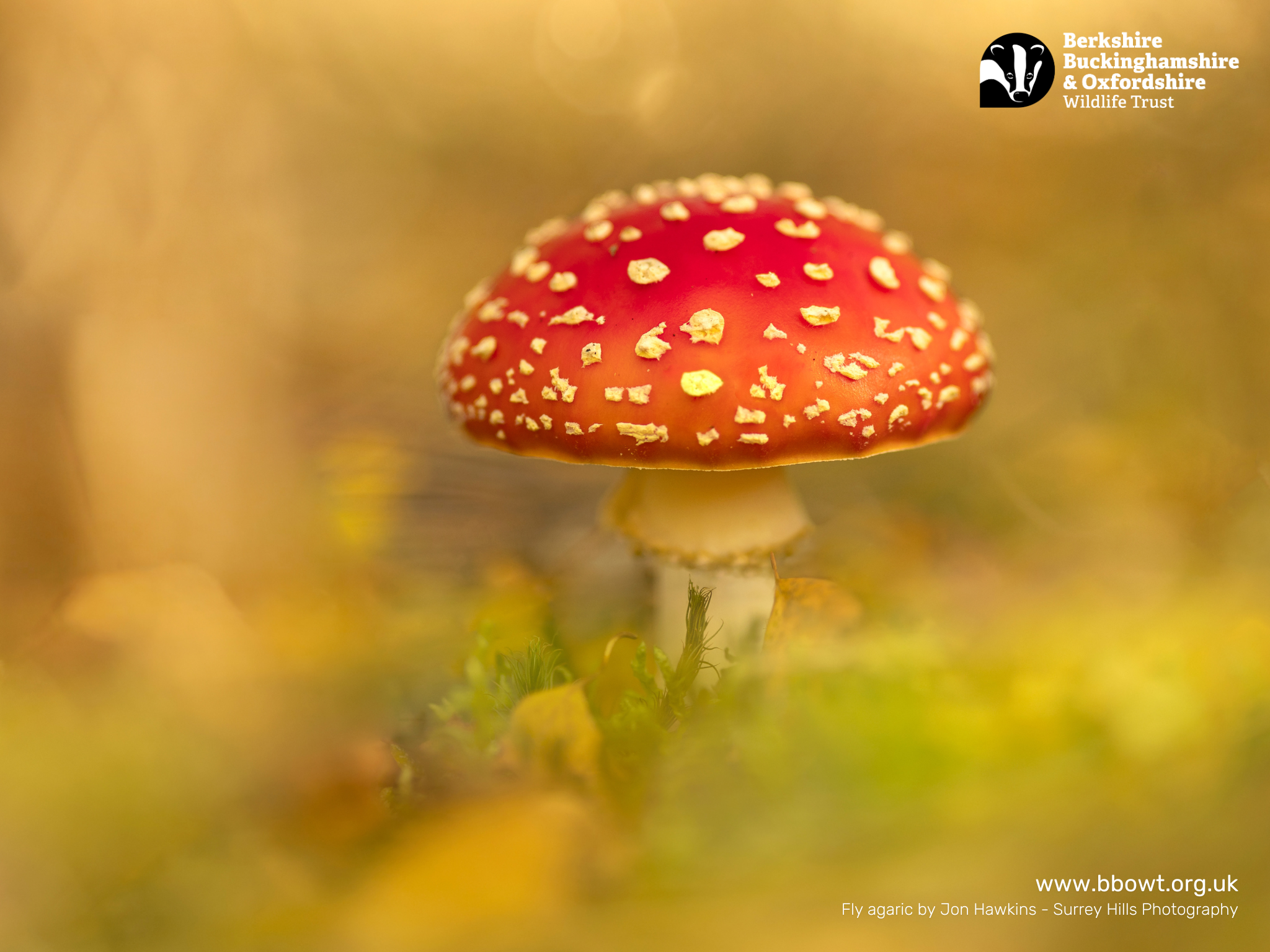 Sept wallpaper 1280 by 768