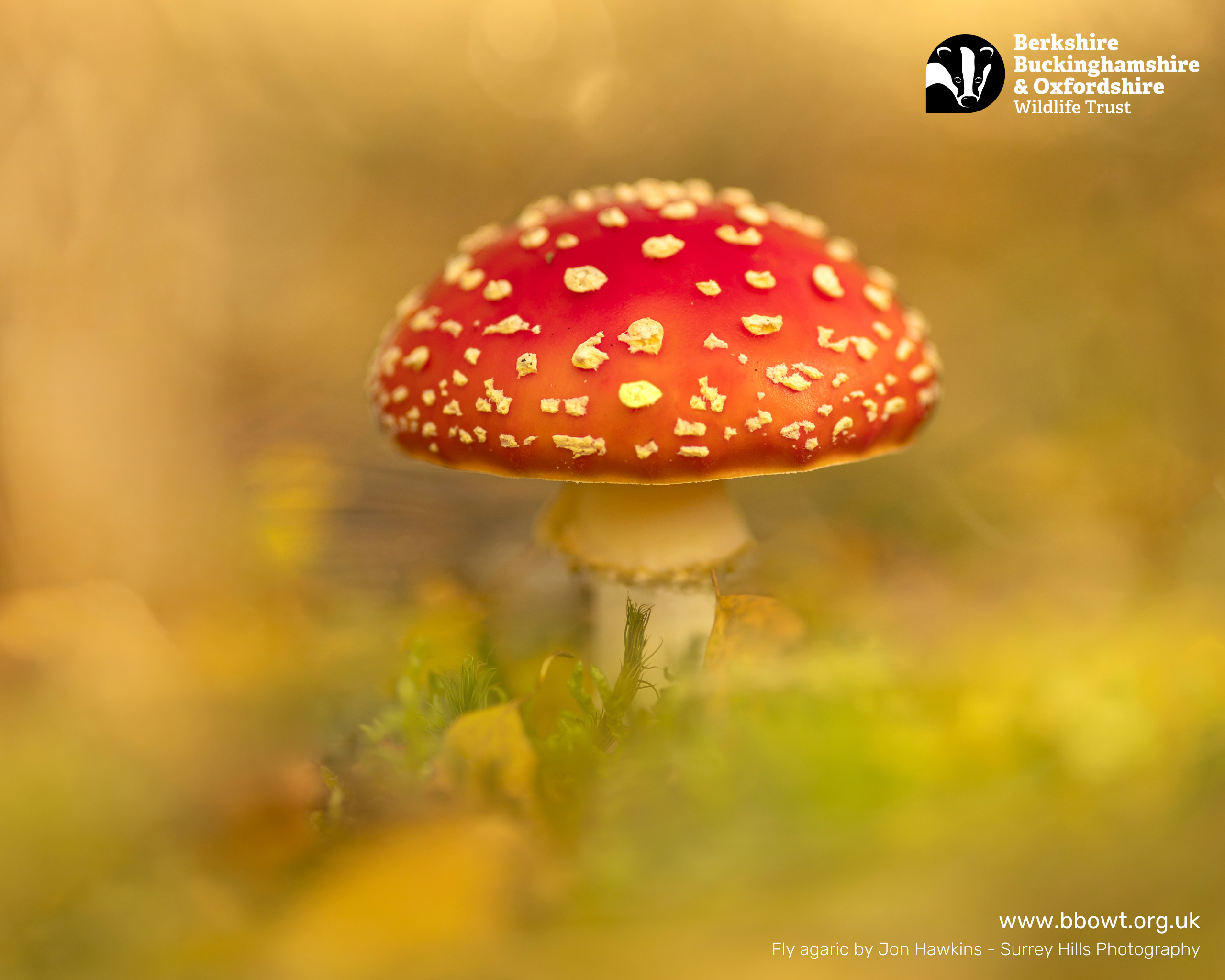 Sept wallpaper 1280 by 1024