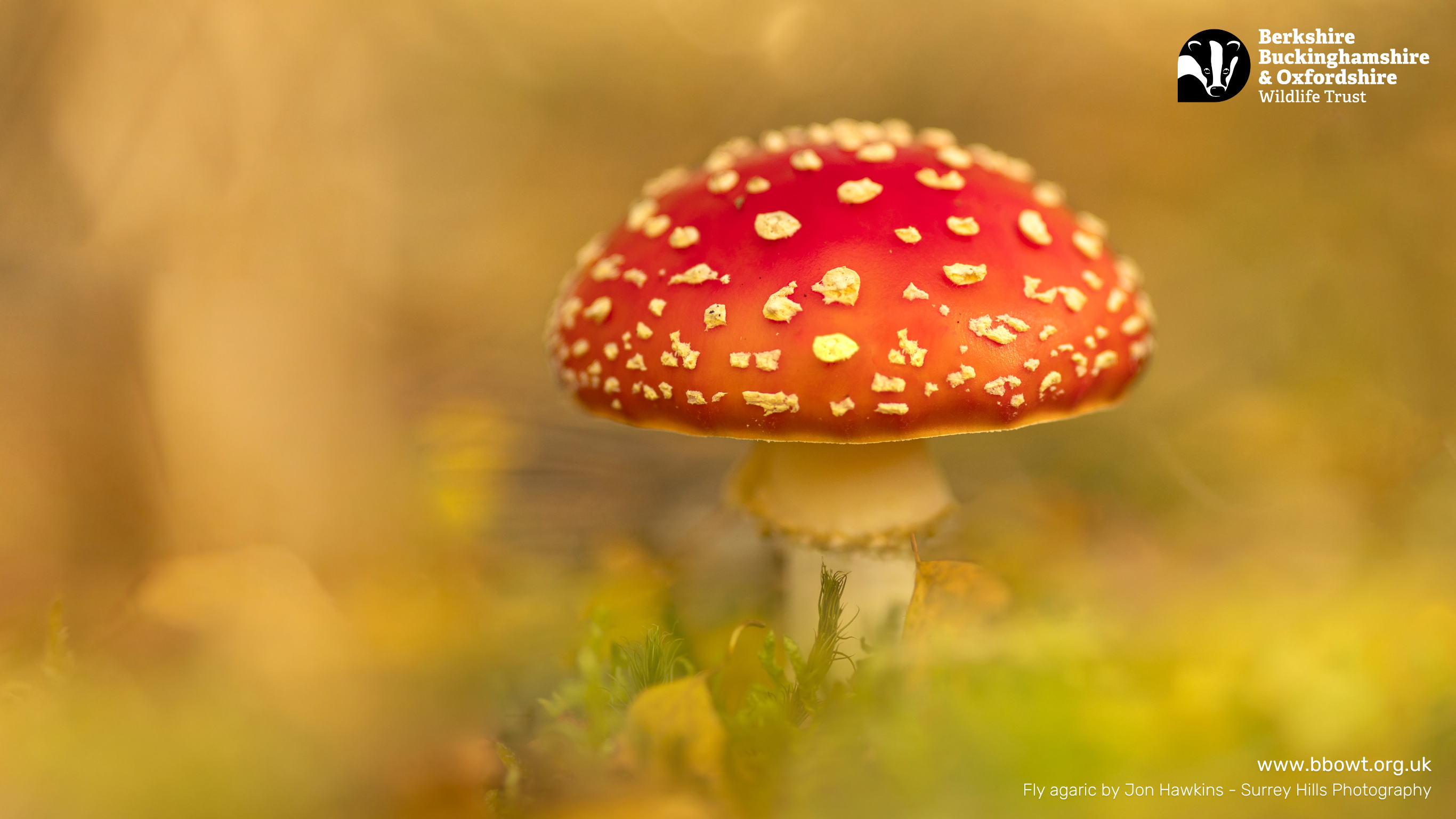 Sept wallpaper 1366 by 768