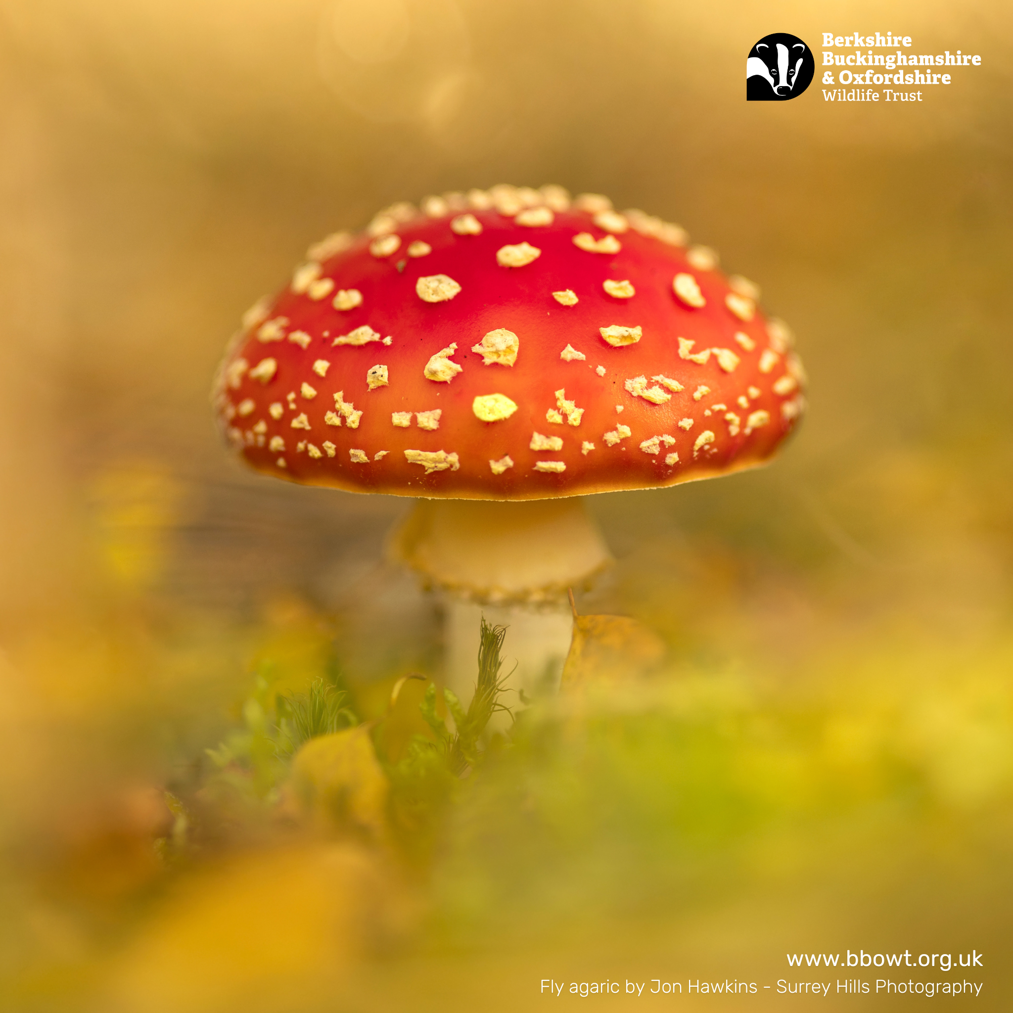 Sept wallpaper 1024 by 1024