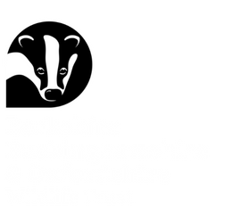 Home | Berks, Bucks & Oxon Wildlife Trust