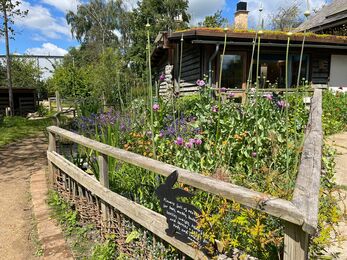 Wooden fencing in front of a packed flower bed with flowers and plants