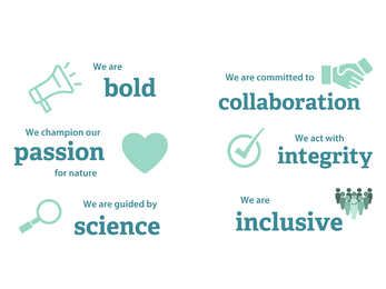 A graphic showing six BBOWT values: Bold, Collaboration, Passion, Integrity, and Inclusive