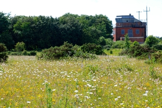 Greenham Common