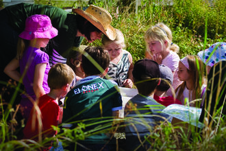 Pond dipping