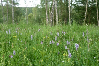 Warburg Nature Reserve