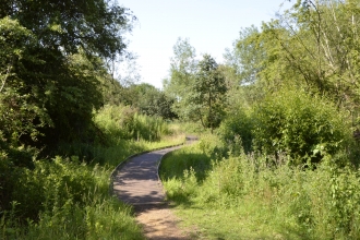 Lye Valley