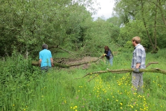 volunteers