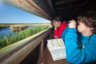 birdwatchers