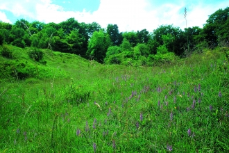 Aston Clinton Ragpits