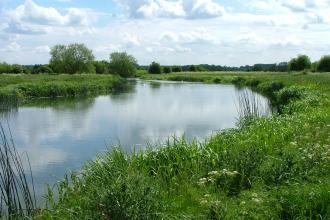 Chimney Meadows