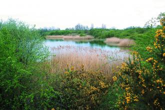 Calvert Jubilee