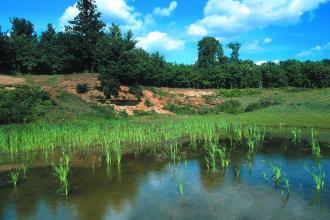 Hitchcopse Pit