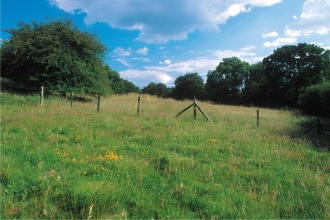 Chawridge Bank