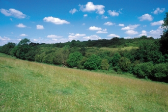 Glyme Valley