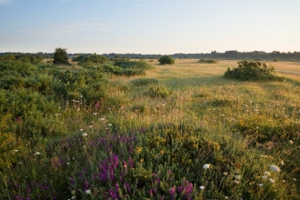 Greenham Common