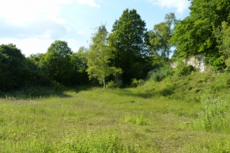 Hurley Chalk Pit