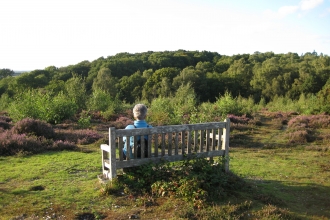 Snelsmore Common