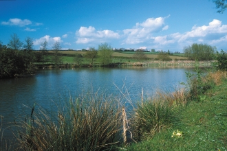 Lamb's Pool