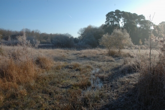 Parsonage Moor