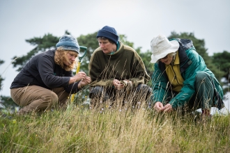 Photo of grassland survey