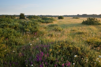 Greenham Common