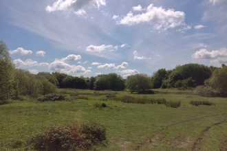 Ardley Wood Quarry