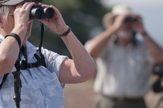 People looking through binoculars