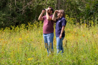birdwatching in a meadow