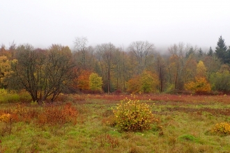 Nature Reserves Berks Bucks Oxon Wildlife Trust