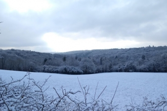 Warburg Nature Reserve