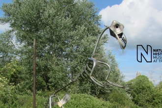 Dinosaur sculpture at Sutton Courtenay