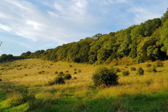 Yoesden bank