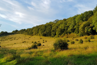 Yoesden bank 