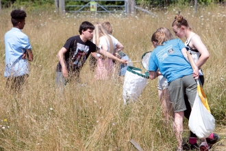 Teenagers sweep netting