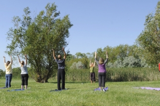 Wild Yoga
