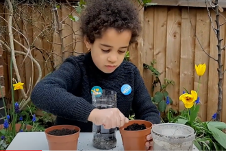 How to make a wormery