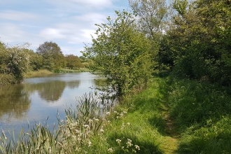 Lambs Pool