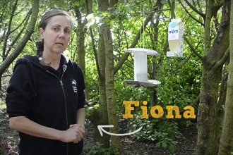 How to make a bird feeder